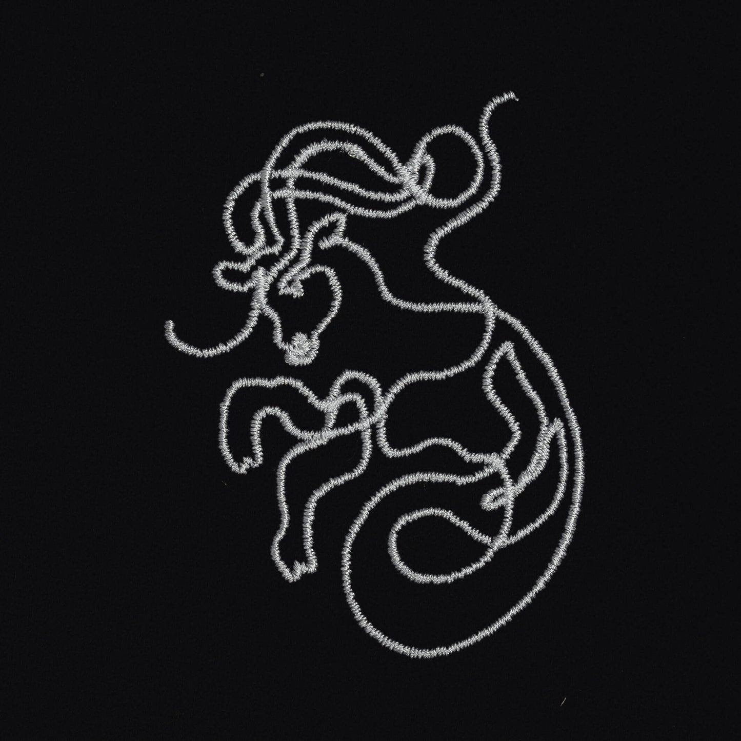 Capricorne